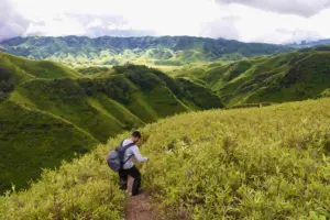 Conquering Dzukou Valley