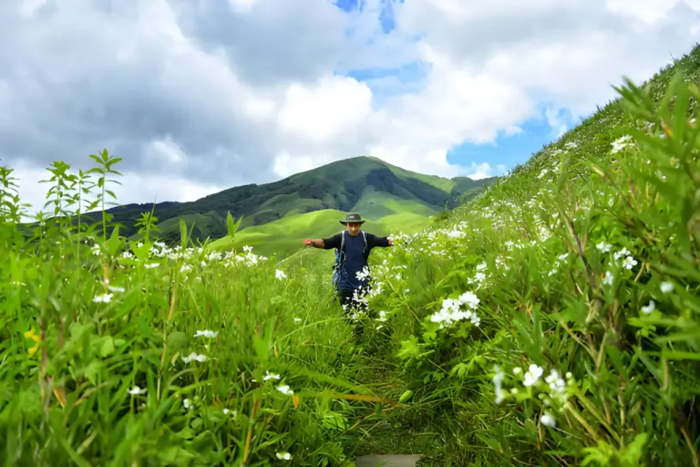 Best Time to visit Dzukou Valley: Nagaland’s best kept secret